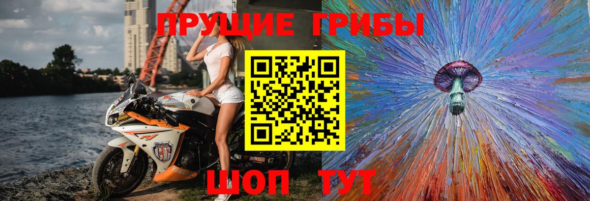 Псилоцибиновые грибы мицелий  Вход с VPN  Заволжье 