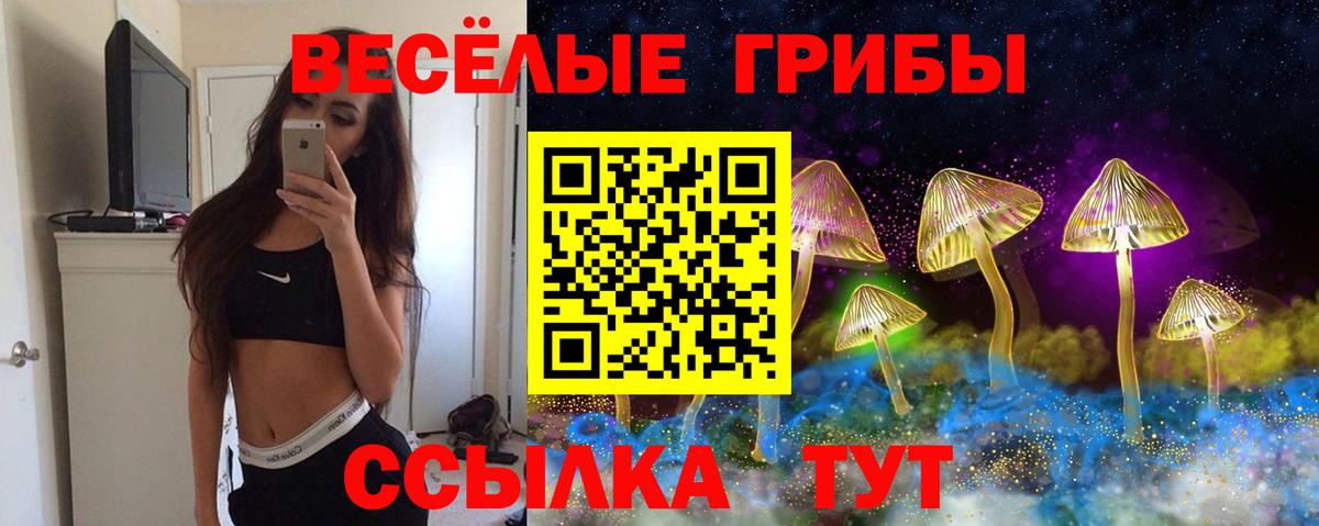Псилоцибиновые грибы мицелий Заволжье